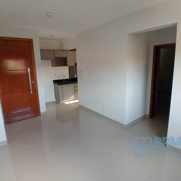 ANDRE LUIZ FELIPE E FILHOS LTDA