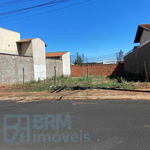 ANDRE LUIZ FELIPE E FILHOS LTDA