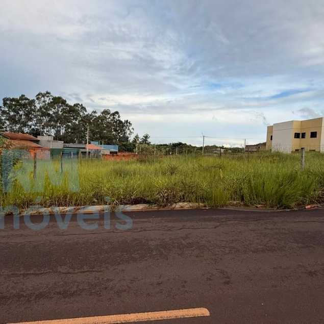 ANDRE LUIZ FELIPE E FILHOS LTDA