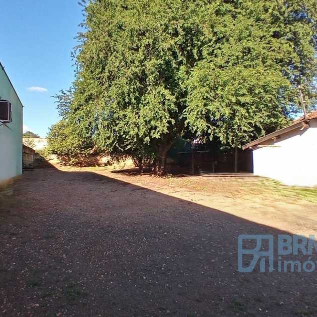 ANDRE LUIZ FELIPE E FILHOS LTDA