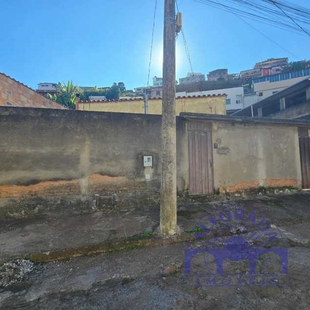 Vinicius Alves Quintao