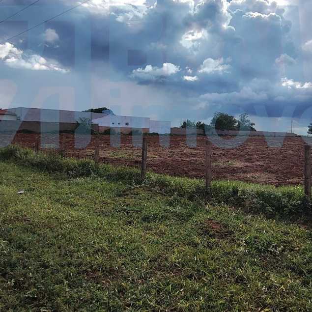 ANDRE LUIZ FELIPE E FILHOS LTDA