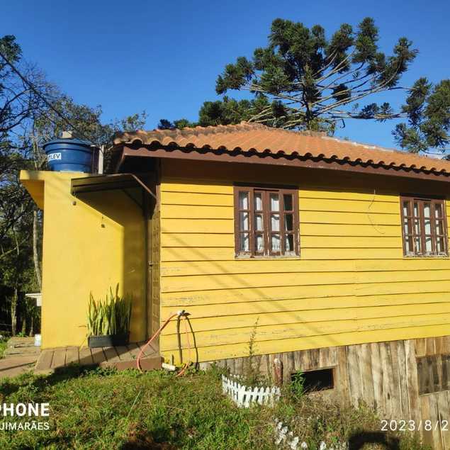 Patrícia Guimarães