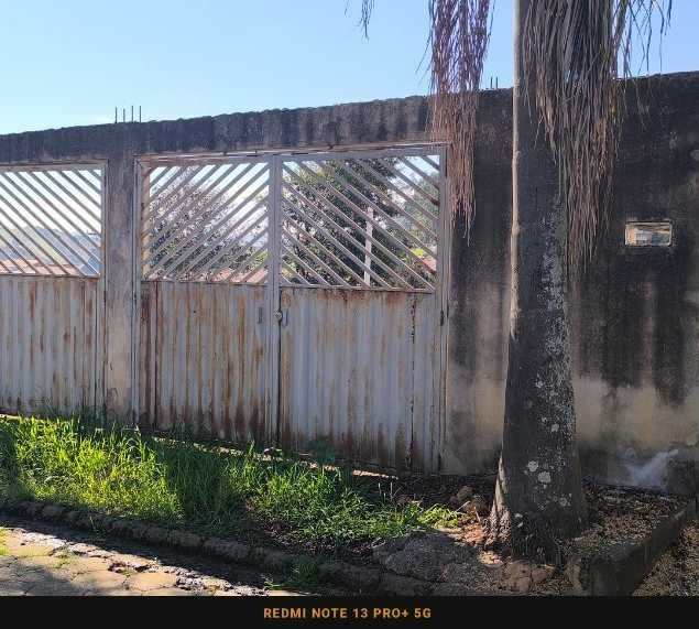 Patrícia Guimarães