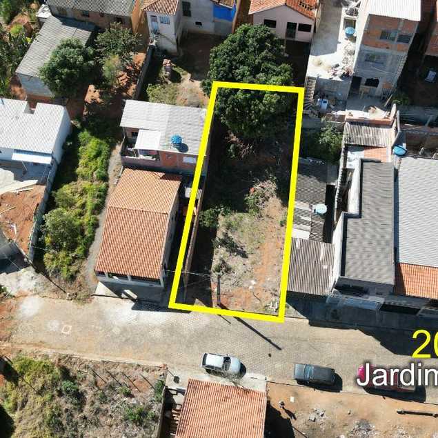 Patrícia Guimarães