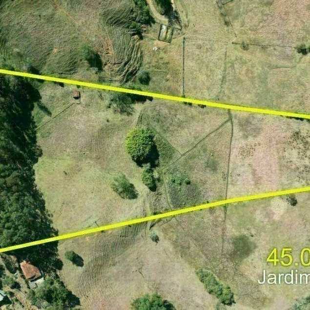 Patrícia Guimarães