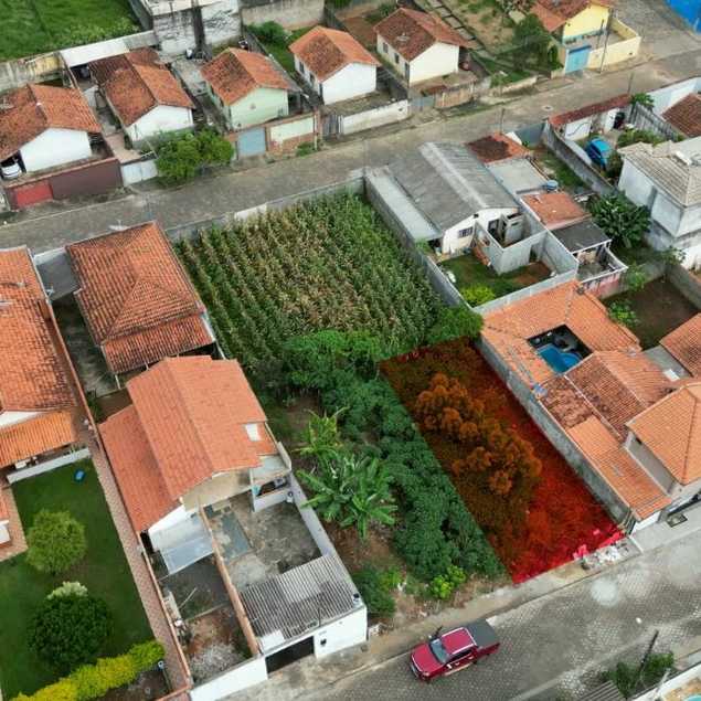 Patrícia Guimarães