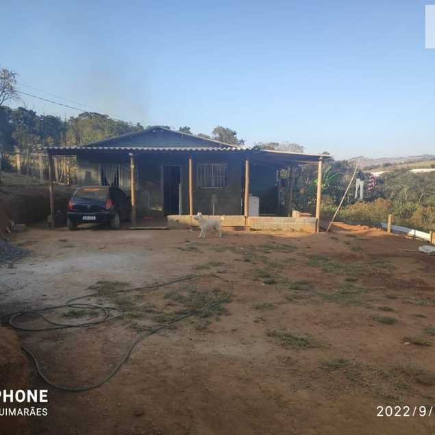 Patrícia Guimarães