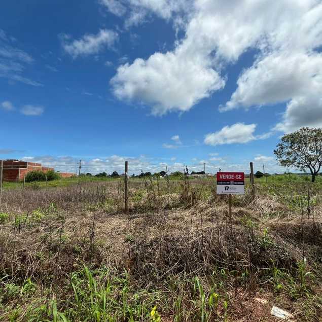 Imobiliária Belluzzo