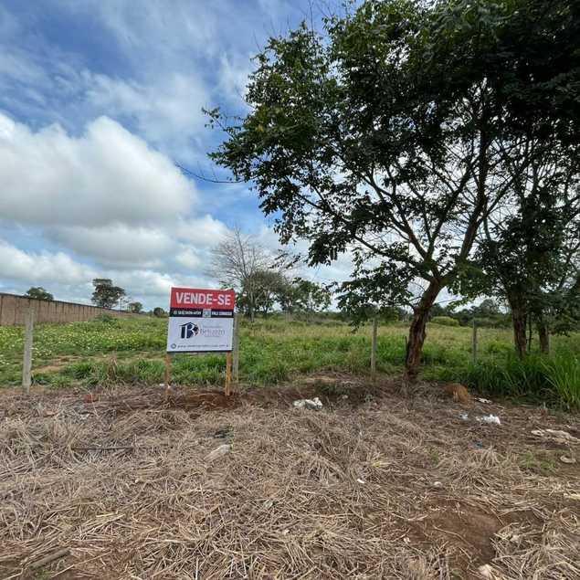 Imobiliária Belluzzo