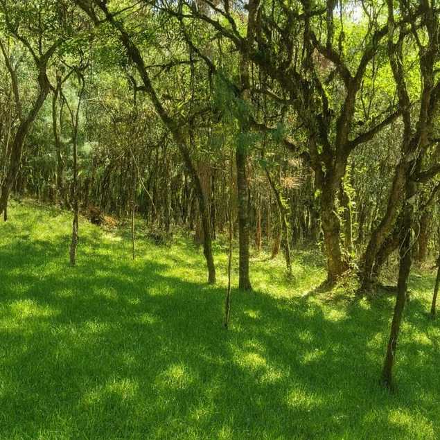 Moratta Imóveis Ltda