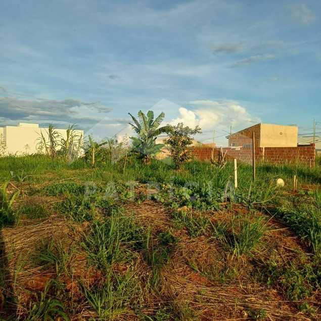 Patrícia Negócios Imobiliários