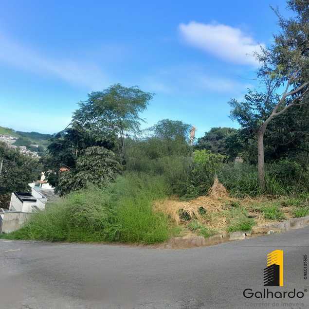 {{layout.imobiliaria.imb_razaosocial}}