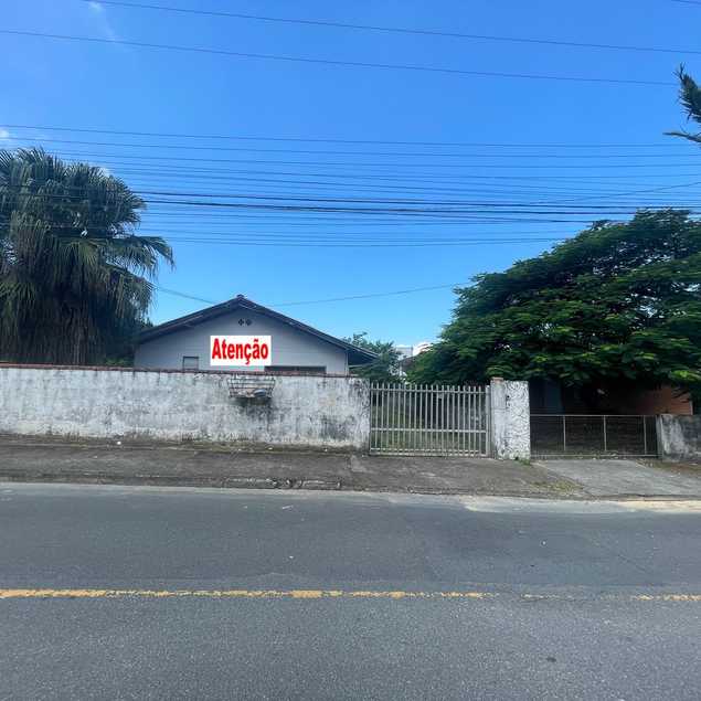 Grupo Araujo