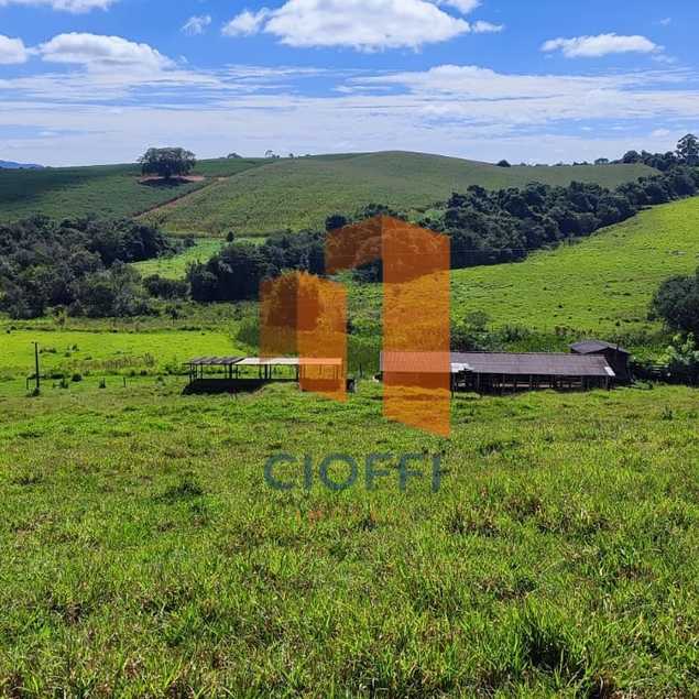 Imobiliária Cioffi