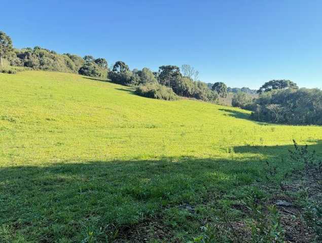 Frederico Rech Imóveis Ltda