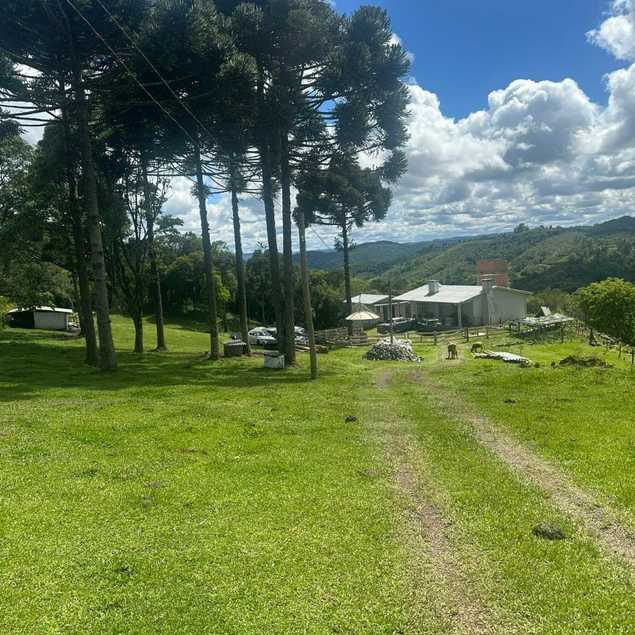 Frederico Rech Imóveis Ltda