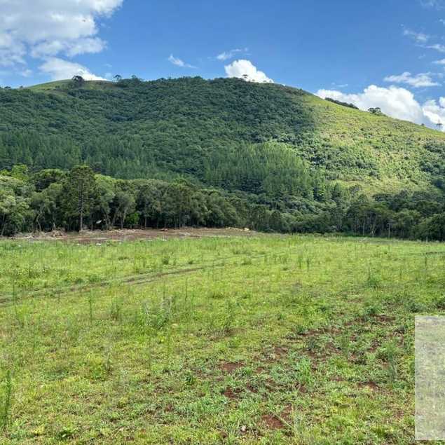 Frederico Rech Imóveis Ltda