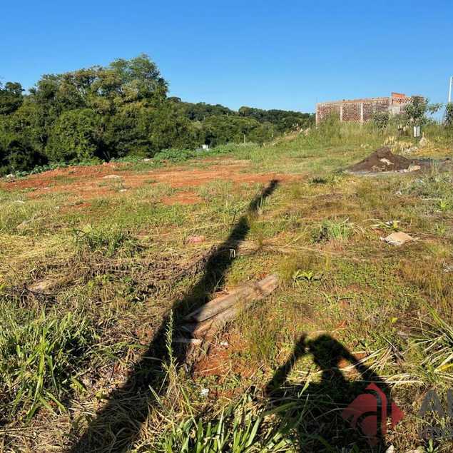 {{layout.imobiliaria.imb_razaosocial}}