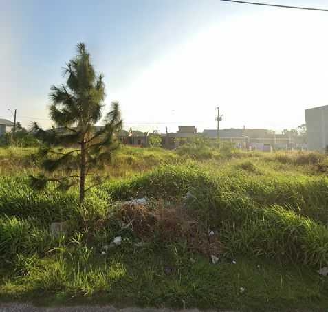 Guilherme Ribas Ibagy