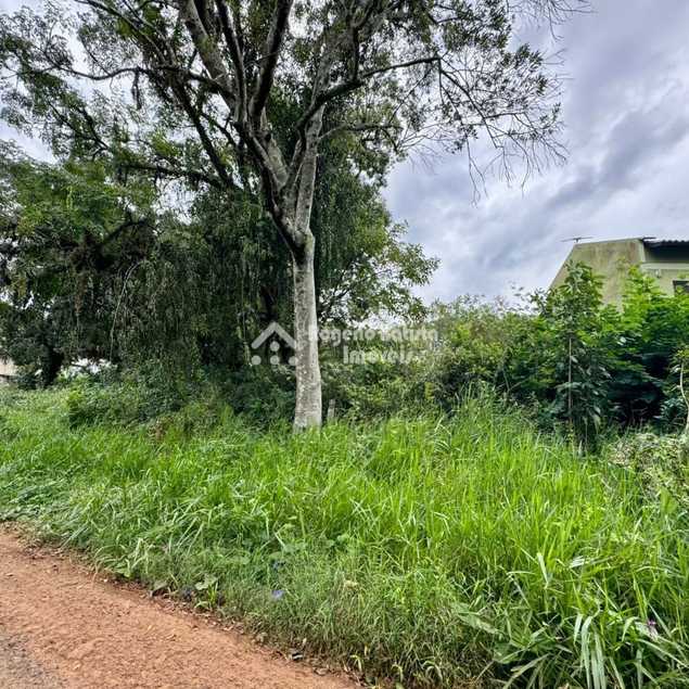 Rogério Batista Imóveis