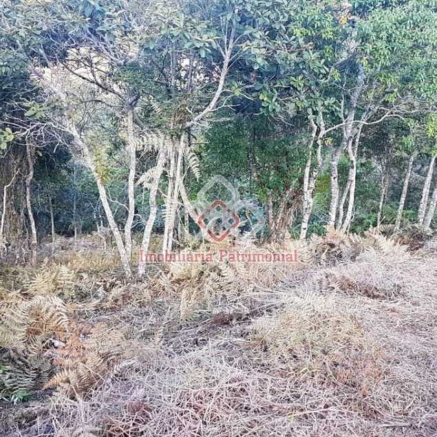 Imobiliária Patrimonial