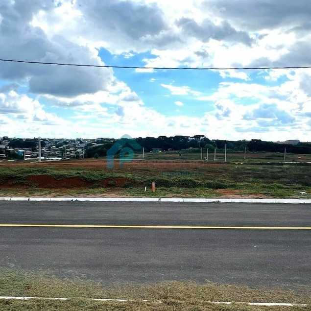 PATRIMÔNIO IMOBILIÁRIA LTDA