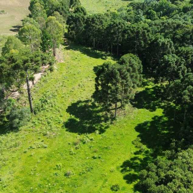 PATRIMÔNIO IMOBILIÁRIA LTDA