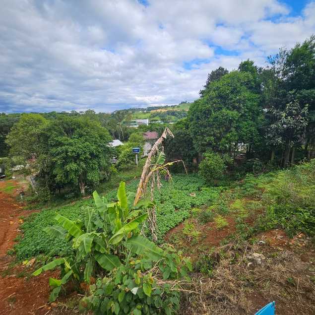 Imobiliária Videira