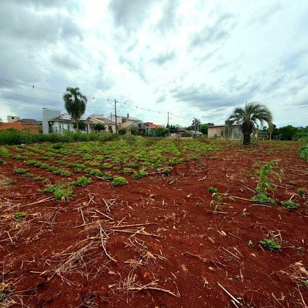 Ceccon Corretor de Imóveis