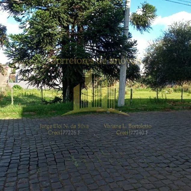 {{layout.imobiliaria.imb_razaosocial}}