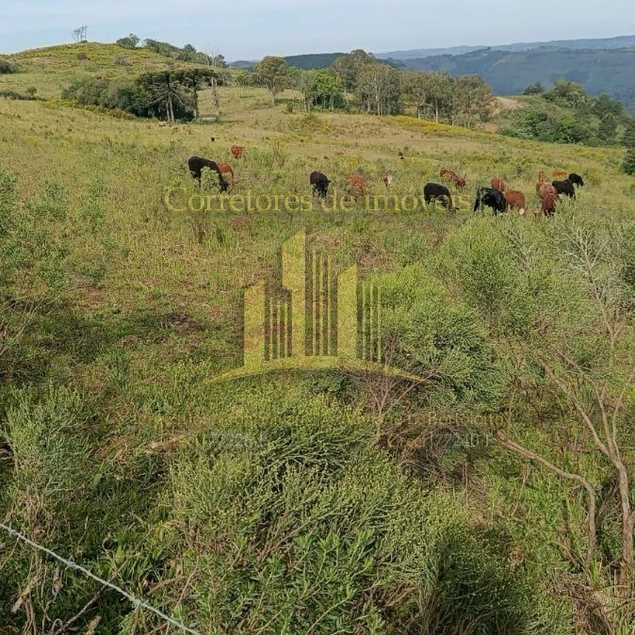 Corretores de Imóveis Elói  Viviane