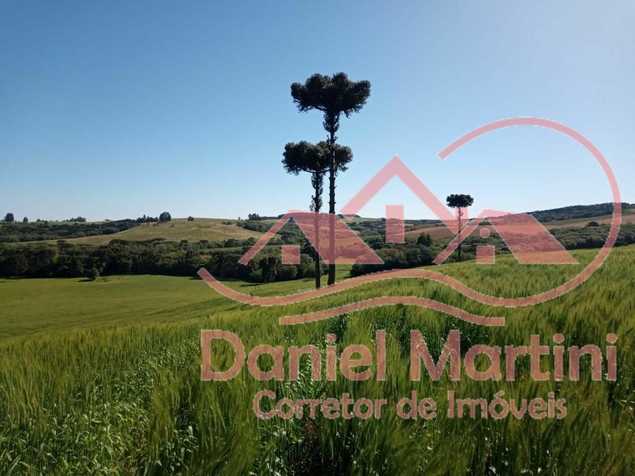 Daniel Martini Imóveis