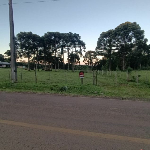 Daniel Martini Imóveis