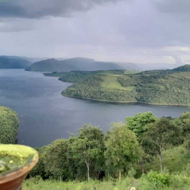 Daniel Martini Imóveis