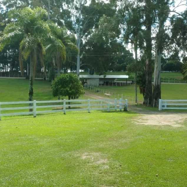 Daniel Martini Imóveis