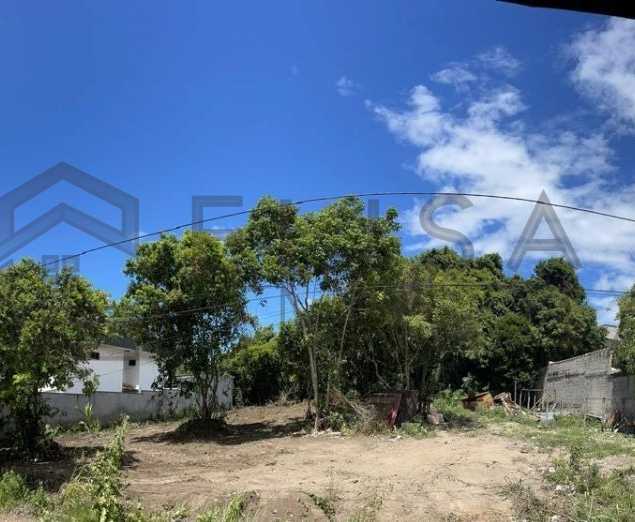 Elisa Maria Corretora