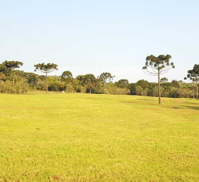 Frederico Rech Imóveis Ltda