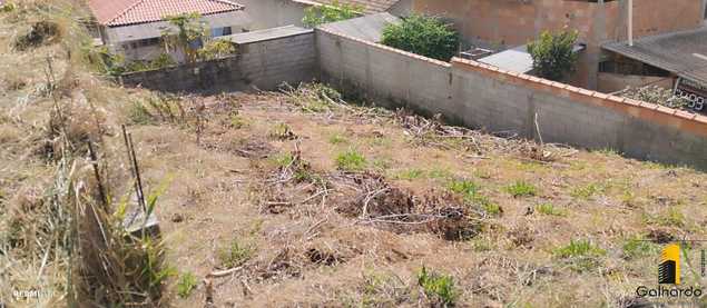 {{layout.imobiliaria.imb_razaosocial}}