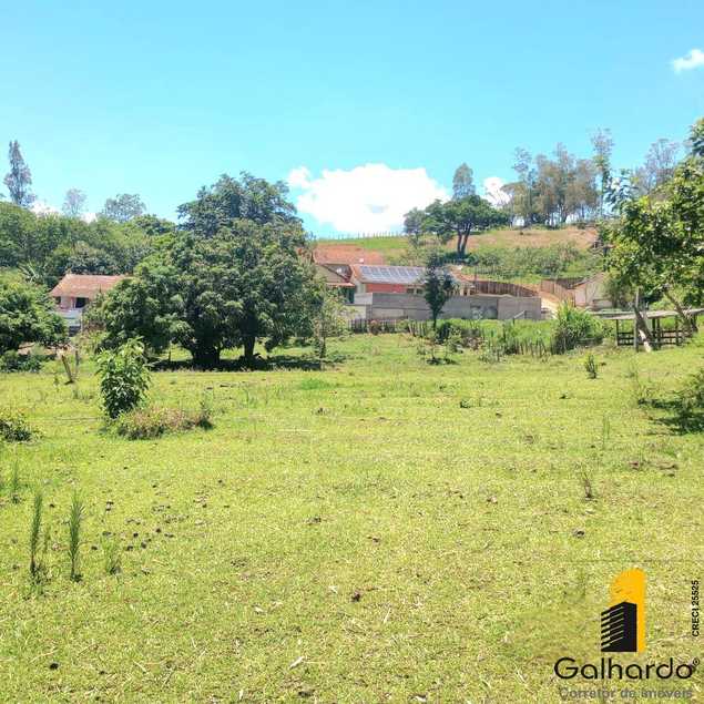 {{layout.imobiliaria.imb_razaosocial}}