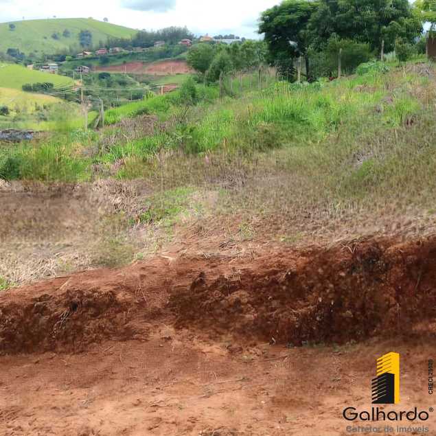 {{layout.imobiliaria.imb_razaosocial}}