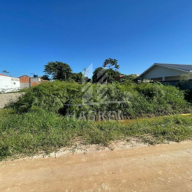 {{layout.imobiliaria.imb_razaosocial}}