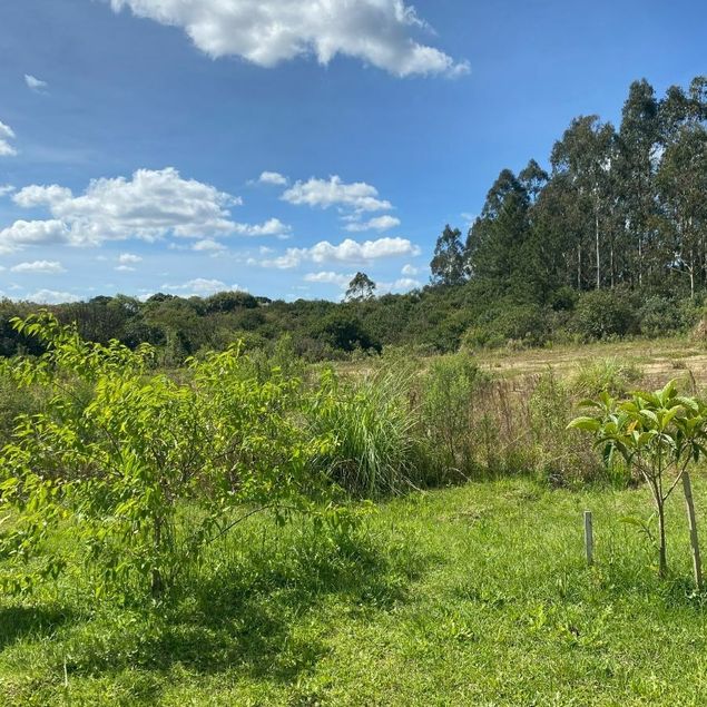 Imobiliária Cidade SBS