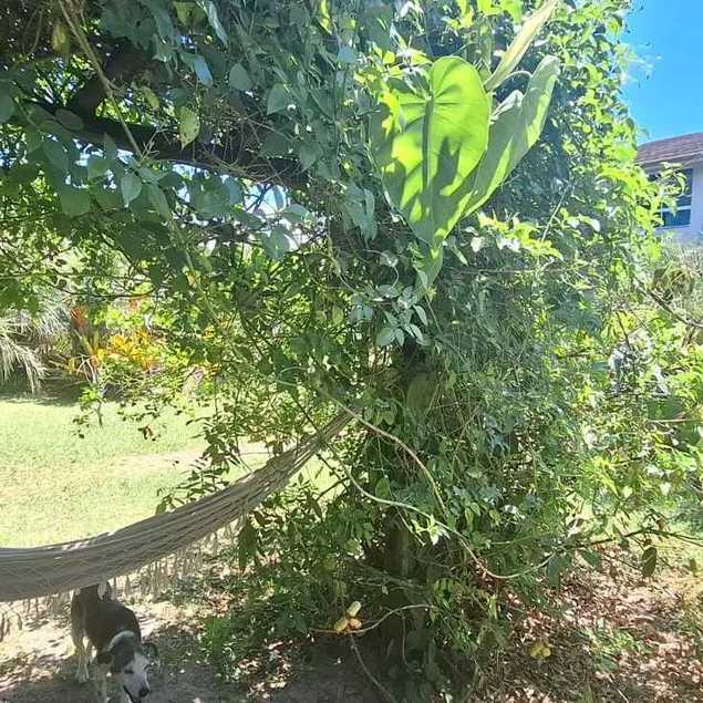 HUB Locação e Administração de Imóveis LTDA