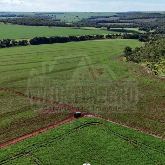 Montinegro corretor de imóveis