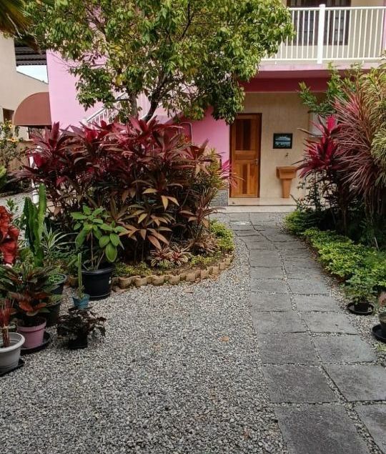 Luci Ferreira Negócios Imobiliário