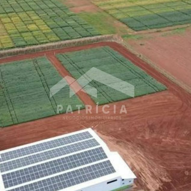 Patrícia Negócios Imobiliários