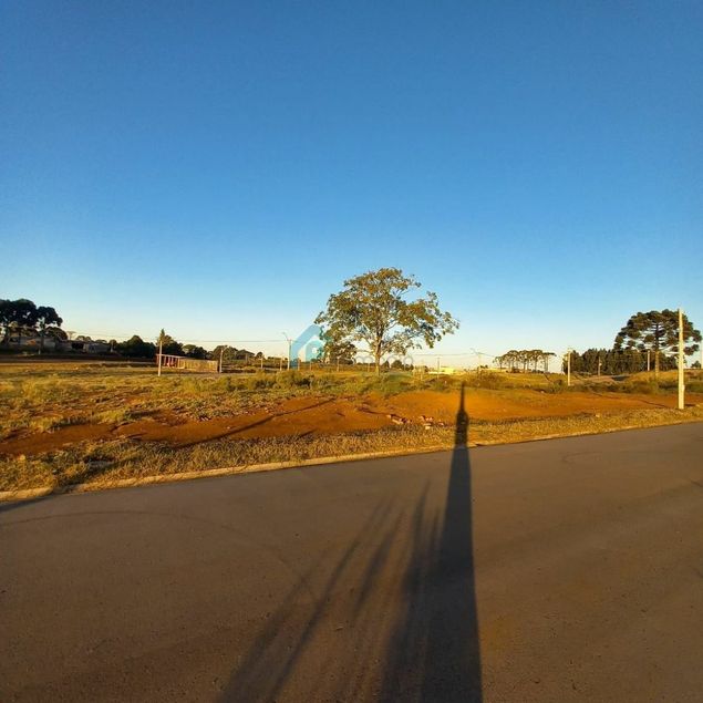 PATRIMÔNIO IMOBILIÁRIA LTDA