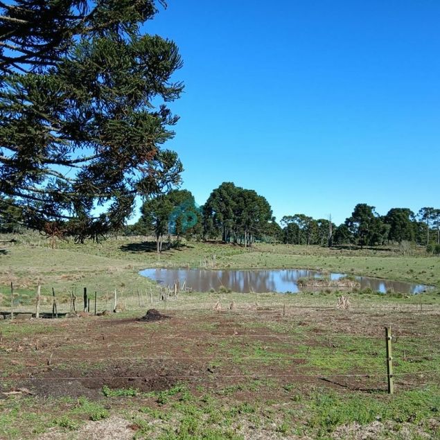 PATRIMÔNIO IMOBILIÁRIA LTDA