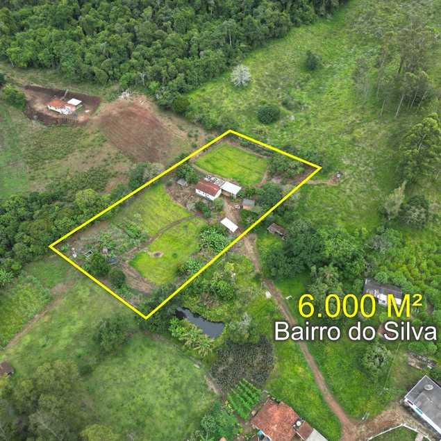 Patrícia Guimarães